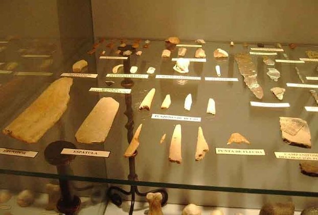 O primeiro período dessa divisão chama-se Paleolítico ou Idade da Pedra Lascada, quando os primeiros hominídeos apareceram na terra. Durou por cerca de 3 milhões de anos, terminando aproximadamente em 10.000 a.C., quando houve Revolução Neolítica. 