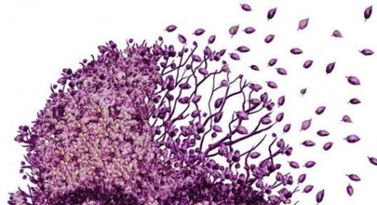 O que é Alzheimer - principais sintomas, causas e formas de tratamento