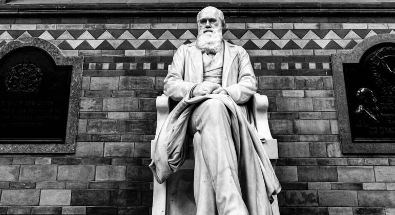 O que é Antropologia? História, método e classificações