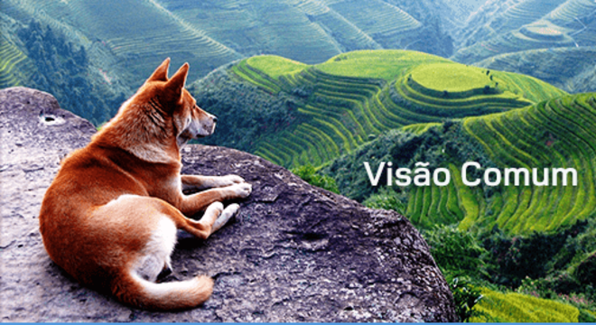 O que é astigmatismo - causas, sintomas e principais tratamentos