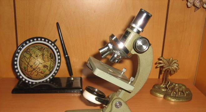 O que é citologia? Saiba como é a estrutura no interior das células