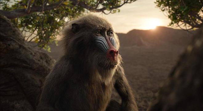 Rafiki segue como guia para retorno de Simba