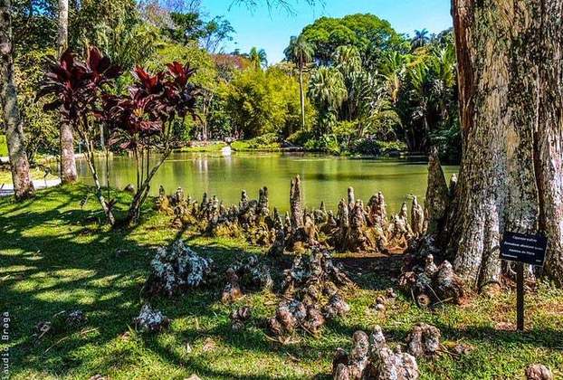 O Rio de Janeiro ainda tem muitos lugares para ter contato com a natureza como o Jardim Botânico, o Parque Lage, Quinta da Boa Vista, zoológico, aquário, Floresta da Tijuca, Mureta da Urca, Marina da Glória, entre outros... 