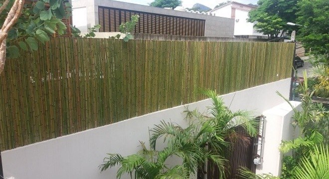 O terraço dessa casa recebeu o acabamento com cerca de bambu