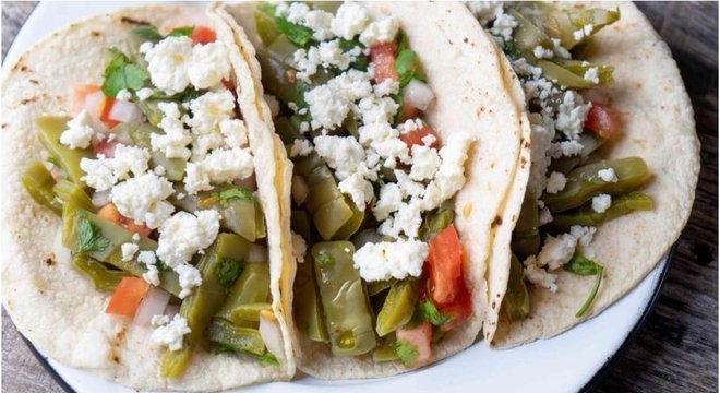 Uso do nopal na culinária é o que faz dele um biocombustível particularmente sustentável