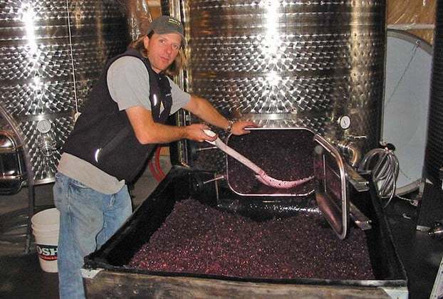 O vinho é definido como a bebida produzida exclusivamente por fermentação parcial ou total de uvas frescas, inteiras ou esmagadas, ou de mostos.
