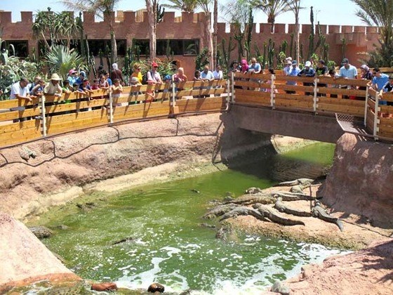 O zoológico foi inaugurado em 2015 e tem 325 crocodilos do Nilo, além de tartarugas gigantes, cobras gigantes e iguanas.