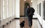 Na época de Obama, o ex-presidente levou o cachorro Bo, com quem brincava nos corredores vazios da Casa Branca