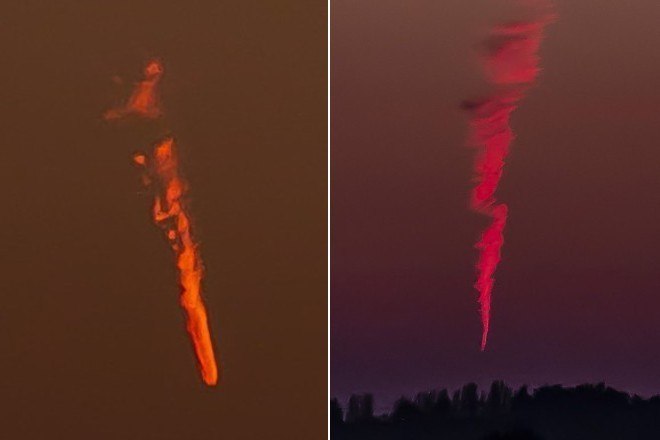 Veja o assustador rosto das formigas em foto cheia de detalhes - Olhar  Digital