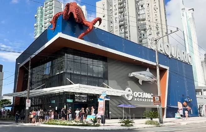 Oceanic Aquarium (SC): Localizado em Balneário Camboriú, esse aquário foi inaugurado em 2021 e conta com uma área de 16.000 m². Além de um segmento inteiro dedicado aos pinguins, o lugar também possui um tanque dedicado à vida marinha do litoral catarinense.