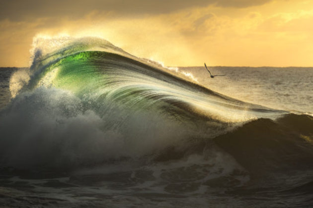 A grande e bela onda, que sempre faz qualquer um lembrar do oceano, não é a vencedora e sim uma finalista do Fotógrafo de Belas Artes do AnoNÃO PERCA: Transporte natural! Conheça a tradicional corrida de caiaques de abóbora