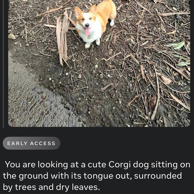 O assistente com IA dos óculos é capaz de descrever produtos e animais