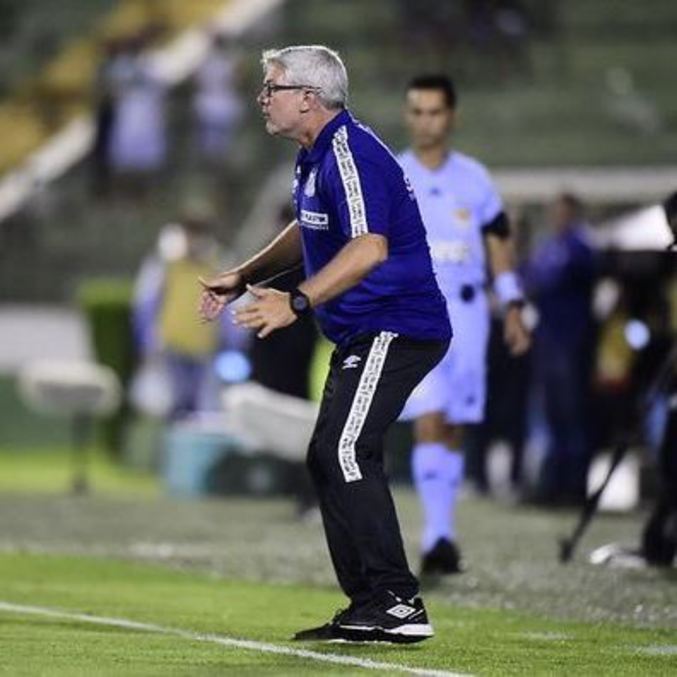 Odair Hellmann aguarda reforços no Santos