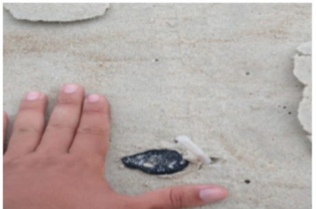 Fragmento de óleo na praia do Peró, em Cabo Frio