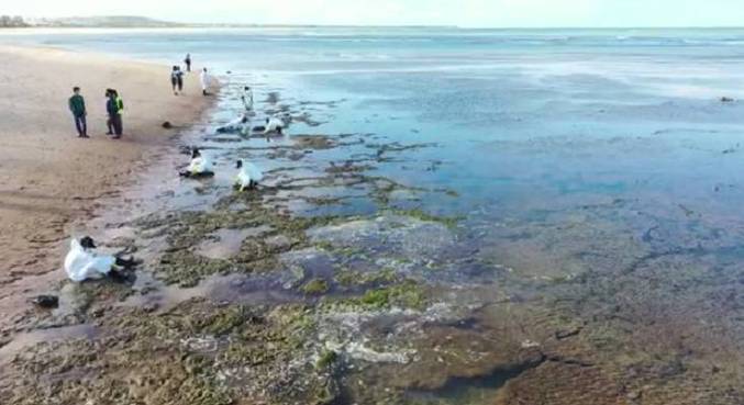 Primeiras manchas de óleo da Bahia foram vistas em setembro de 2019