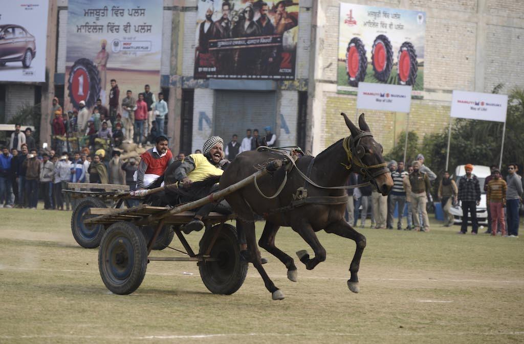 Aguentam um trator! Veja toda a maluquice dos Jogos Rurais da Índia - Fotos  - R7 Hora 7