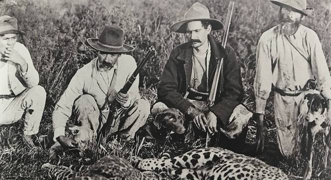 Caçada de onças pintadas em Santa Catarina, no começo do século 20; quando despovoada de animais, Mata Atlântica se torna incapaz de renovar a vegetação original 