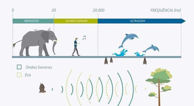 Ondas sonoras, o que são? Definição, velocidade, característica e audição