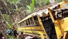 Seis pessoas morrem após ônibus cair em abismo onde havia enxame de abelhas-africanas, na Nicarágua