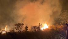 Incêndios atingem o Pantanal em área estimada em 28 mil hectares 