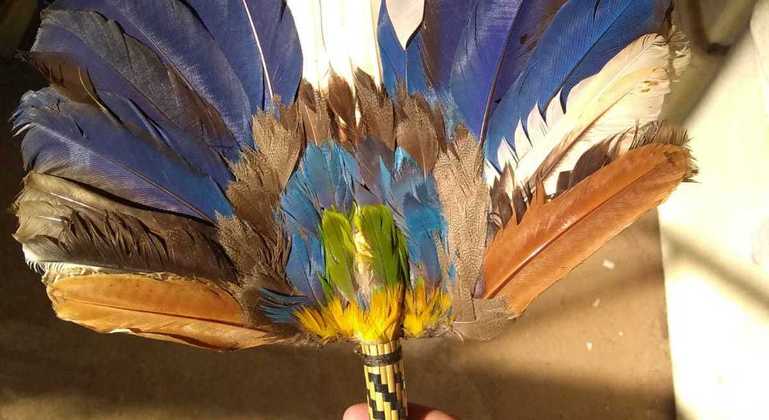 Acervo foi recuperado em ação contra venda ilegal de partes de animais raros sob fachada de artesanato
