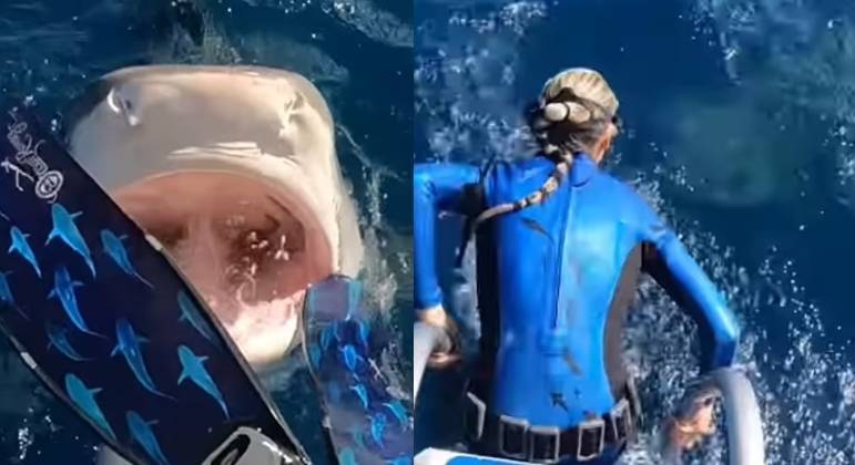 horrifying!  The shark stranded the diver seconds before entering the sea – News