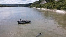 Orca perdida no rio Sena, na França, é encontrada morta por equipe de resgate