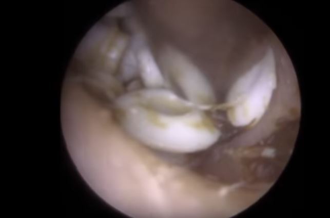 22 Imagens Com Mensagens Fofinhas Para Instagram Stories Ou Papel De Parede Para O Celular Lu Amaral Studio Glitter Phone Wallpaper Instagram Classy Wallpaper