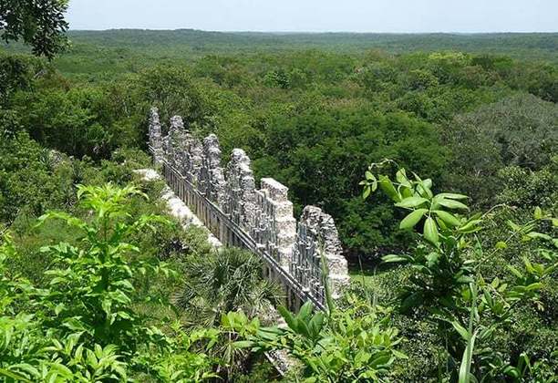 Os arqueólogos caminharam por aproximadamente 60 quilômetros nas fechadas florestas da Península de Yucatán, no sul do México. O esforço da equipe foi recompensado já que descobriram uma cidade dos Maias, da qual não havia referências anteriores 