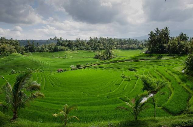 Os arrozais, por sinal, são um importante atrativo de Bali. Importantes economicamente para a Ásia, eles também se espalham por cenários belíssimos. 