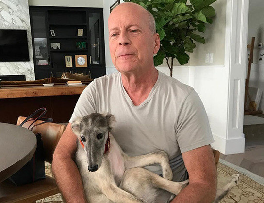 Os fãs do ator Bruce Willis, um dos mais famosos de Hollywood, se surpreenderam e ficar comovidos ao saberem que o ator sofre de demência. O FLIPAR mostra quais são os primeiros sinais dessa doença que afeta muitas famílias. 