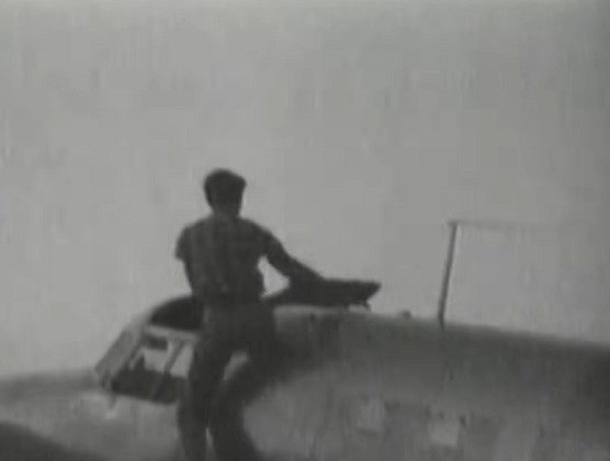 Os investigadores da teoria se basearam numa foto do Arquivo Nacional dos EUA que mostrava algumas figuras embaçadas que seriam a aviadora e seu avião.