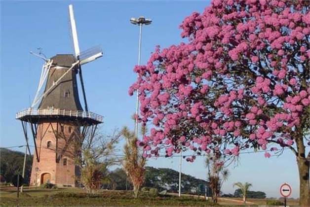 Os moinhos são uma das instalações mais representativas da Holanda. Tanto que há mais de 950 dessas estruturas no país. Inicialmente foram projetados para moer grãos, mas ganharam outras funcionalidades como bombear água para fora dos lagos. Veja os principais moinhos da Holanda. 