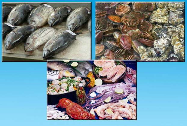Os pesquisadores revelaram que ali havia, inclusive, um porto com intenso comércio marítimo, focado principalmente na venda de peixes, ostras e redes. 