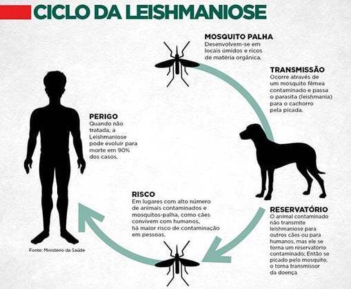 Os profissionais explicam que esse aumento pode representar uma ameaça de transmissão da doença para os seres humanos. O cão é hospedeiro e o mosquito, após picá-lo, pode passar a doença às pessoas.  