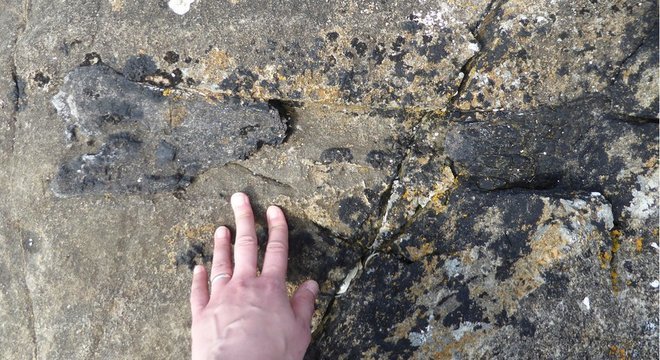 Fóssil foi encontrado na costa em Eigg, uma pequena ilha da Escócia