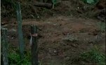 Mas em julho deste ano, uma ossada humana foi encontrada num terreno em São Vicente, litoral de São Paulo. Os ossos foram localizados por uma equipe de limpeza urbana. Eles faziam o serviço de manutenção durante a manhã e, ao encontrarem a ossada, acionaram a polícia. Peritos do instituto médico legal foram chamados, e o caso foi registrado como morte suspeita