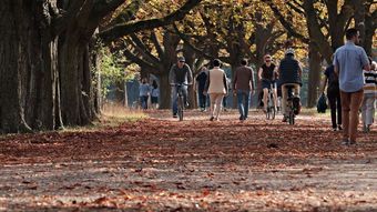 Expert warns of the importance of skin care in the fall – News