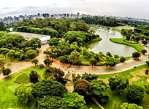 Outro ponto famoso e importante da cidade é o parque Ibirapuera, local onde as pessoas conseguem praticar exercício físico, passear e ter contato com a natureza.