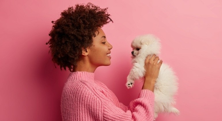 Outubro rosa também vale para os pets: saiba como cuidar dos seus amigos de patas