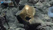'Ovo' dourado com pele animal é encontrado no oceano a 3 km de profundidade