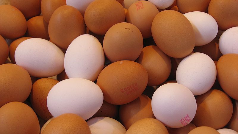 Carro do ovo vai parar de passar na sua rua? Entenda o caso - Notícias - R7  Internacional