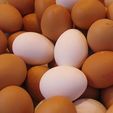 Carro do ovo vai parar de passar na sua rua? Alimento enfrenta crise em escala global (Wikimedia Commons)