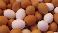 Carro do ovo vai parar de passar na sua rua? Entenda o caso