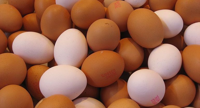 Ovos estão em falta nas prateleiras ao redor do mundo