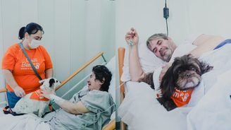 Pacientes de área oncológica recebem visita de cães (Pacientes de área oncológica recebem visita de cães)