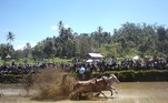 Até mesmo ataques de touros contra o público já foram registrados, o que torna a Pacu Jawi um evento estranhamente perigoso para quase todos os envolvidos