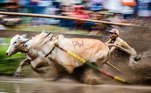 A corrida também atrai fotógrafos de vários lugares do mundo, muito porque a combinação de touros, velocidade, lama e jóqueis em pé oferece uma grande possibilidade para ótimas fotos