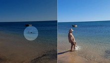 Pai checa a água do mar para filhos nadarem, mas nota tubarão-tigre à espreita
