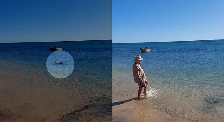 Um pai cuidadoso checava a água do mar em uma praia do Parque Nacional Francois Peron, na Austrália, antes dos filhos mergulharem. No entanto, a poucos metros da areia, surgiu um temido tubarão-tigre